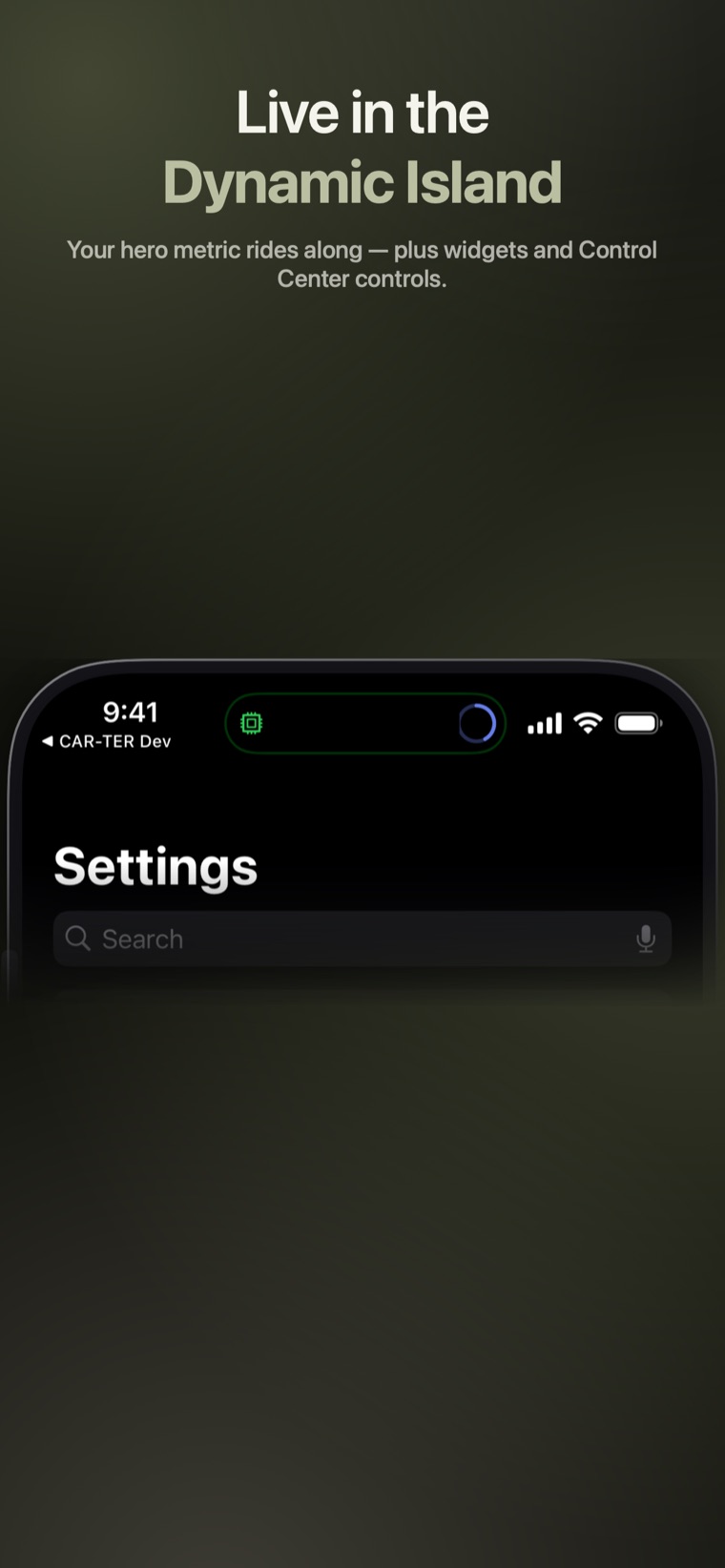 Live in the Dynamic Island — Your hero metric rides along — plus widgets and Control Center controls.